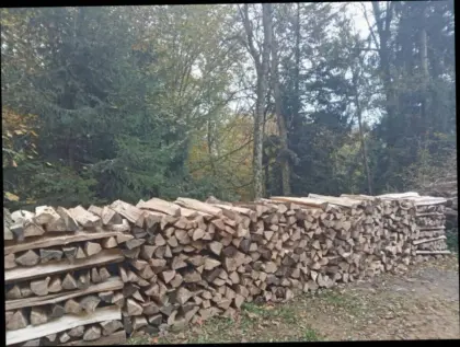 Scheitholz Esche