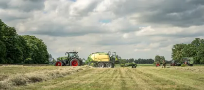 Bio-Wiesenheu, fruktan- und zuckerarmes Premium-Pferdeheu