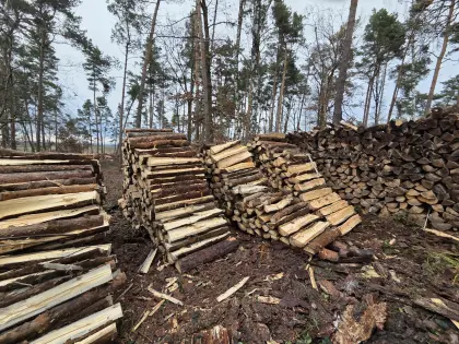 Weiches Brennholz zu verkaufen