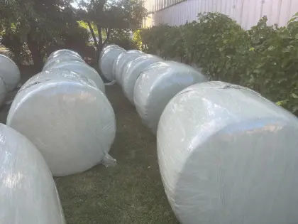 Maisballen