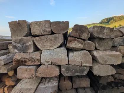 Dippelbäume, Dübelbäume, ca. 200 Jahre alt