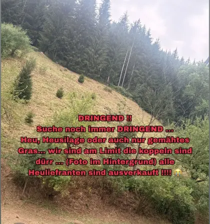 Suche Heu, Gras, Stroh, Futter