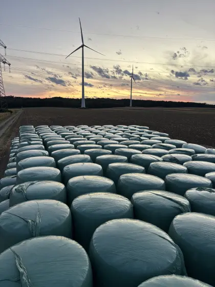 Maisballen