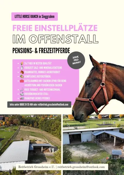 Einstellplatz, Offenstall