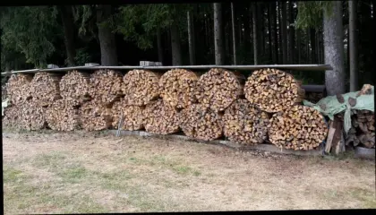 Brennholz