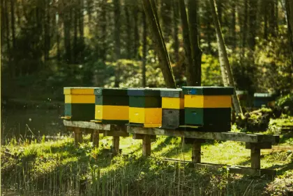 Suche Standplatz für Hobby-Imkerei und Wirtschaftsraum