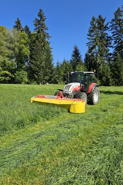 Suche Grassilage