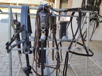 Einspänner-Brustblattgeschirr Leder Equestrian