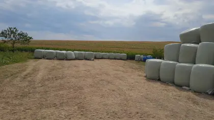 Maissilageballen