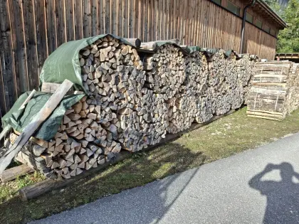 Brennholz