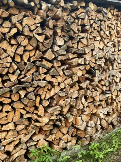 Brennholz
