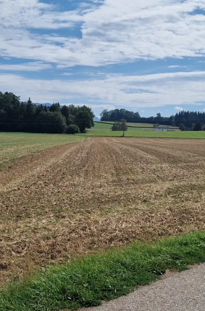 5,2 ha Ackerfläche zu verkaufen