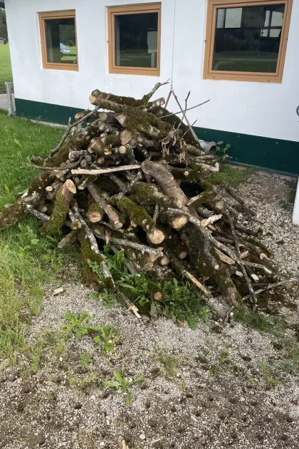 Holz, Brennholz