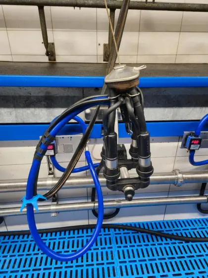 13 Harmony Plus Melkzeuge, DeLaval Melkstand