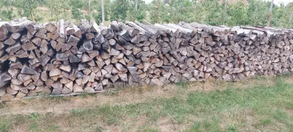 Brennholz