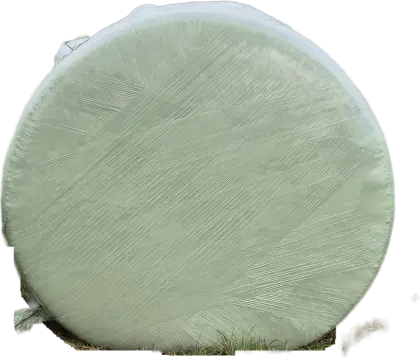 Mais
