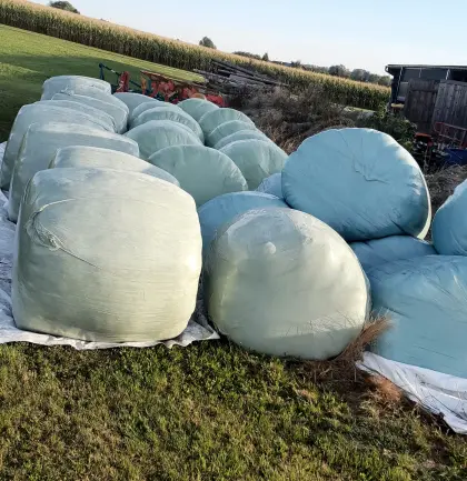 Silageballen