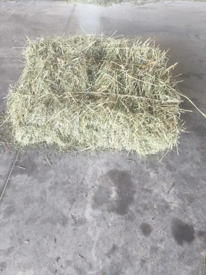 Luzerneheu Kleinballen