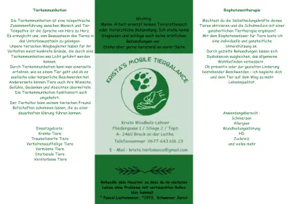 Ganzheitliche Unterstützung für dein Tier