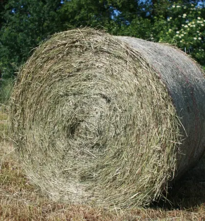 Beteiligung an Lieferung Heuballen mit rd. 20 bis 25 Ballen