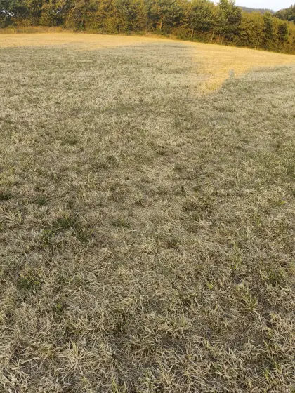 Kaufe Silageballen von Begrünung 2027