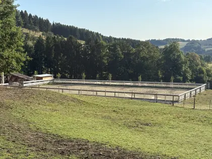 Reitplatzumrandung 20 x 40