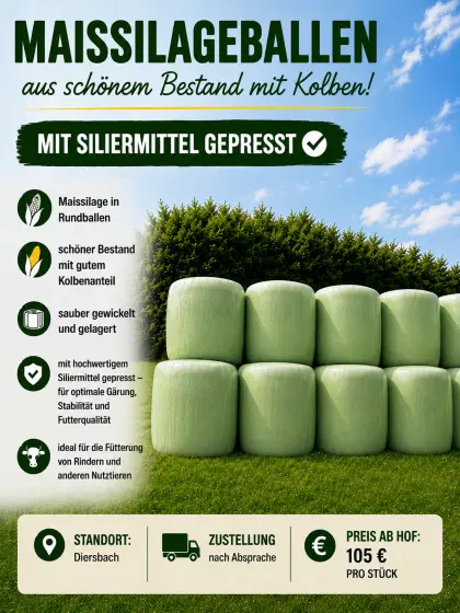 Verkaufe Silomaisballen