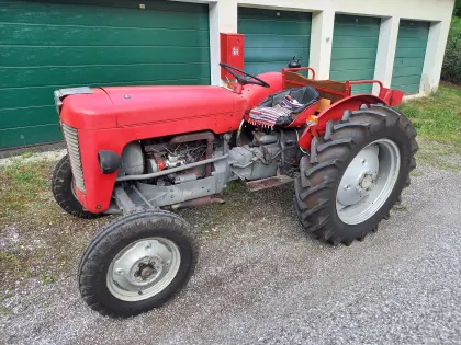 Massey Ferguson MF25, Bj. 1963