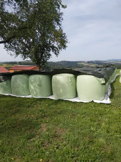 Silomaisballen