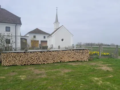 Brennholz