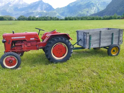 McCormick D 219