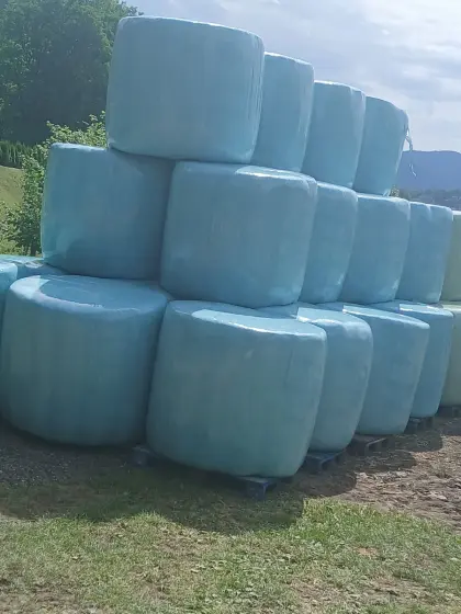 Maissilage Rundballen