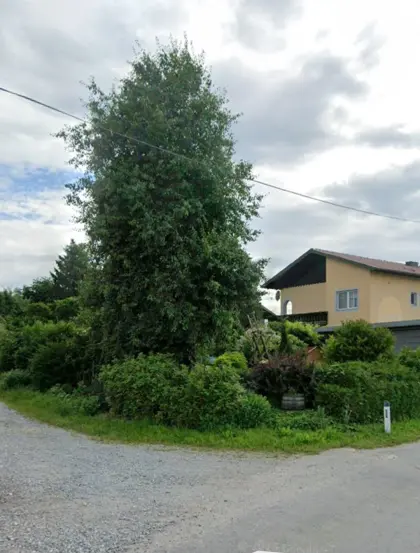 Wohnung in Andorf, Bezirk Schärding, zu vermieten