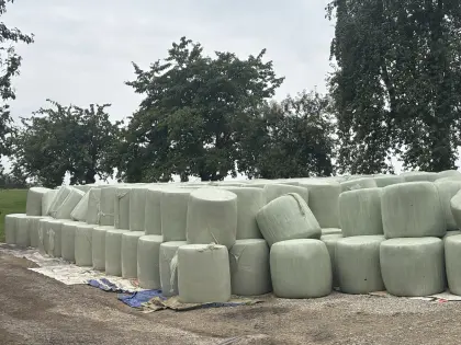 Maisballen