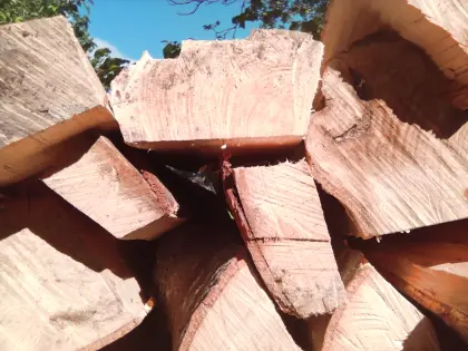 Holz, Brennholz, Birnenholz, Eiche oder Buche