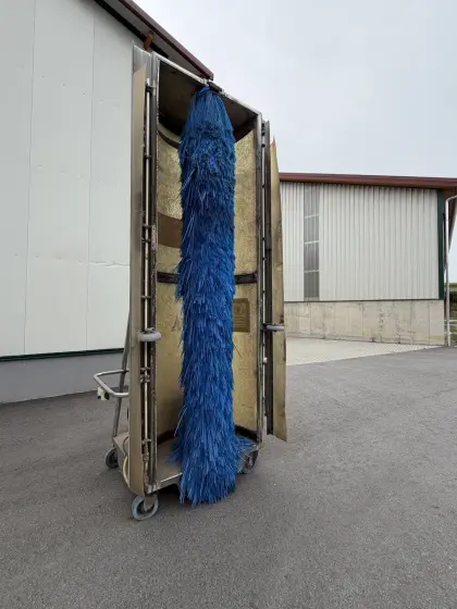 Mobile Waschanlage, Waschbürste