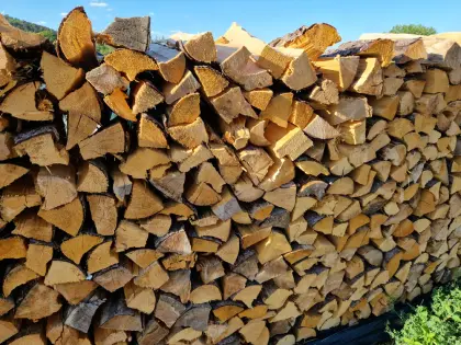 Brennholz, Fichte