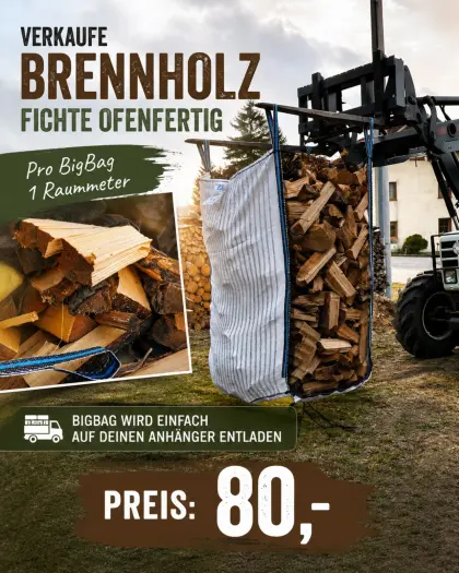 Brennholz