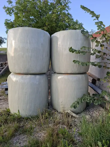 Heulage für Pferde, Bio