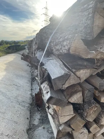 Brennholz, Hartholz
