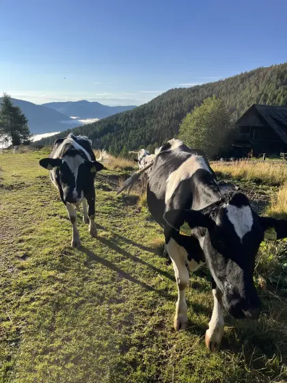 Kalbinnen