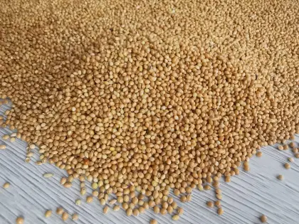 Millet high purity 99,9