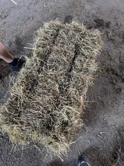 Kleine Quaderballen, 20 kg, 1. Schnitt