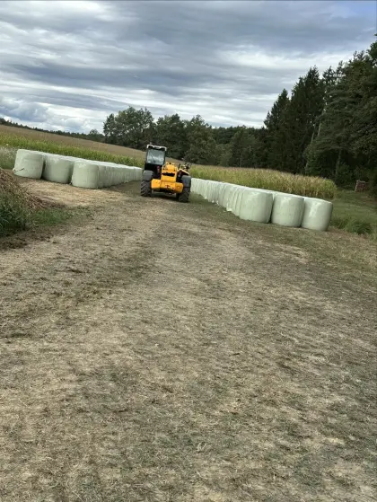 Maisballen