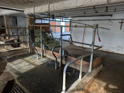 Grabner-Kettenaufstallung für 19 Rinderplätze