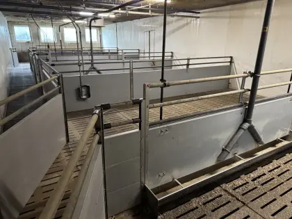 Aufstallung für 650 Mastschweine, Ganzkornmühle 15 kW