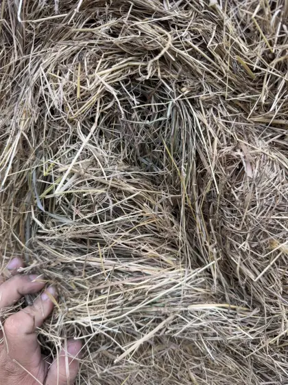 Heu 1. Schnitt, Rundballen