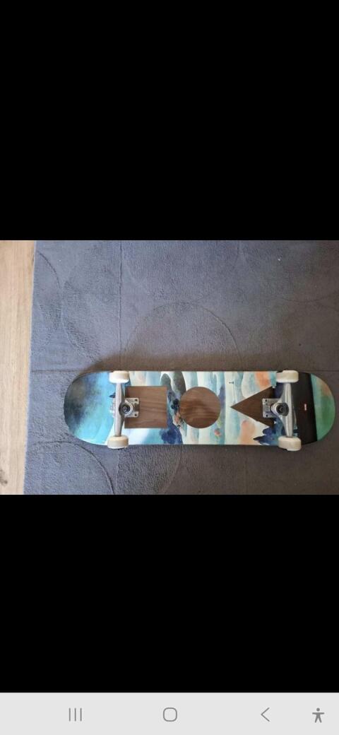 Skateboard Globe