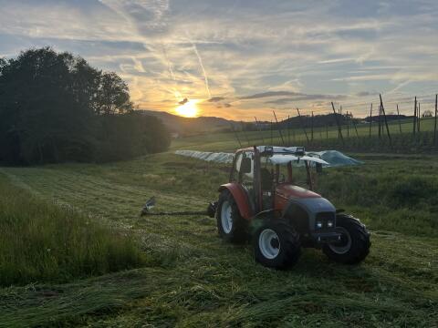 Lindner Geotrac 50A, alle Öle und Filter neu (Gr. Service)