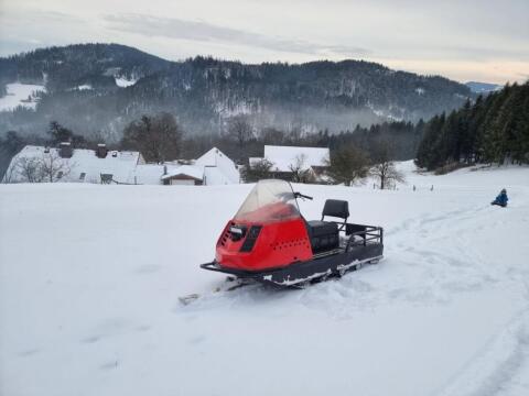Motorschlitten Alpine Ski-Doo